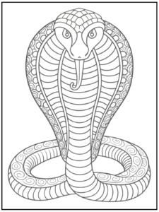 Snake Coloring Pages (56 PDF Printables)