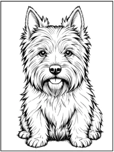 Dog Coloring pages